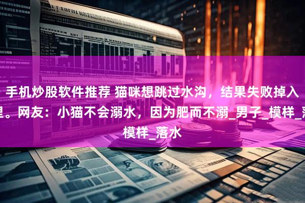 手机炒股软件推荐 猫咪想跳过水沟，结果失败掉入水里。网友：小猫不会溺水，因为肥而不溺_男子_模样_落水